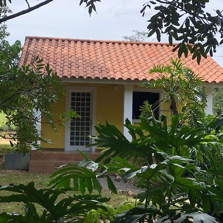 Pousada Recanto Da Mata Hotel Cavalcante Exterior photo